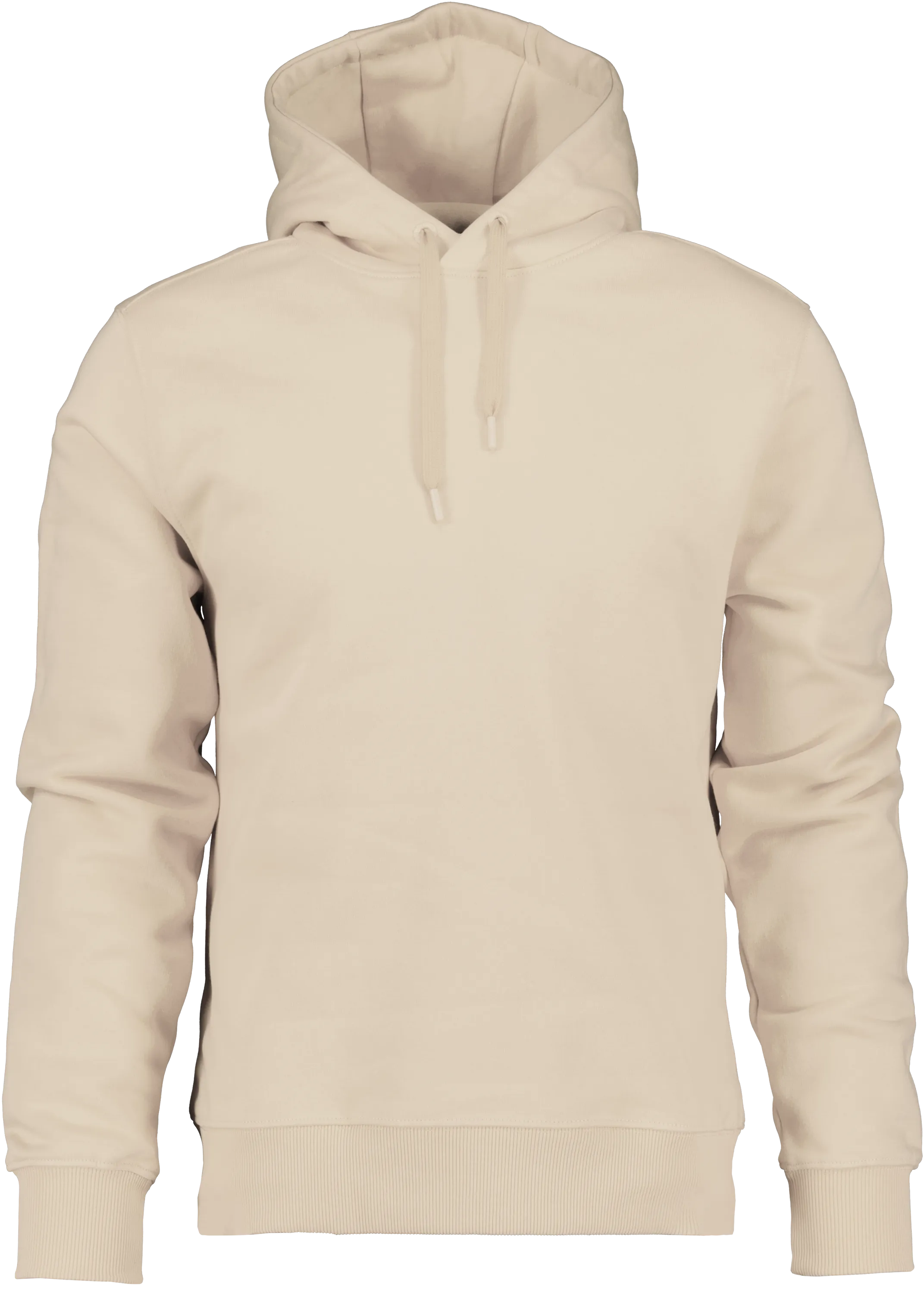 Ven Men's Hoodie