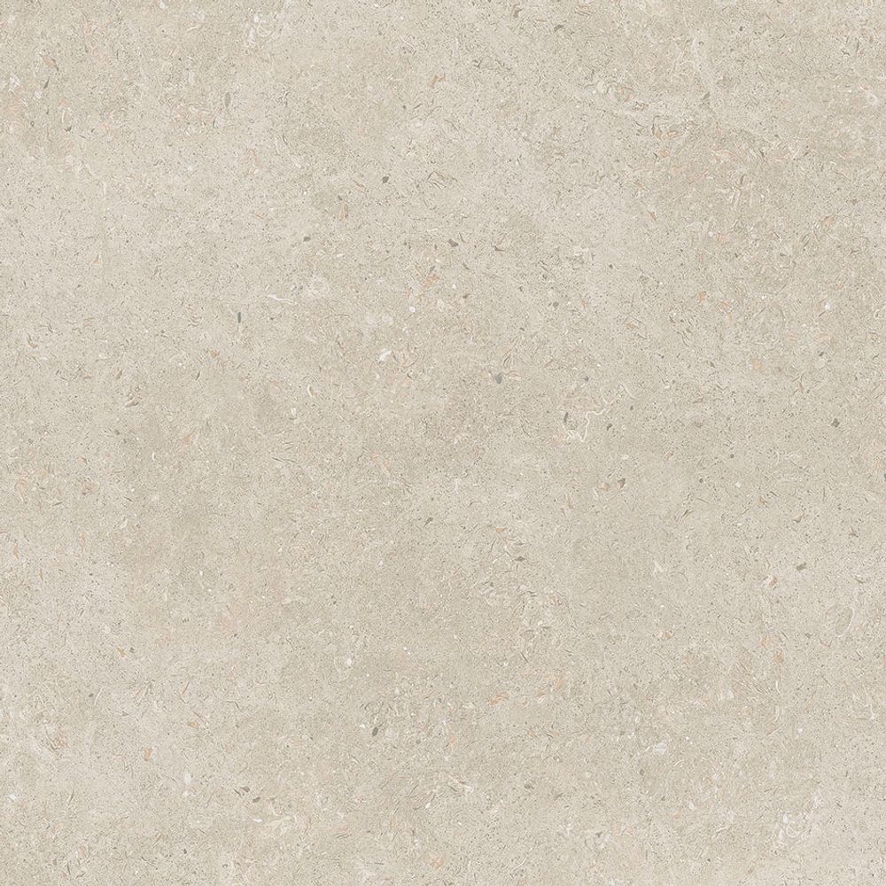 Elegant stone beige rect 59,5x59,5