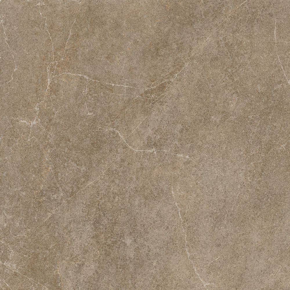 Times taupe rect. 80x80