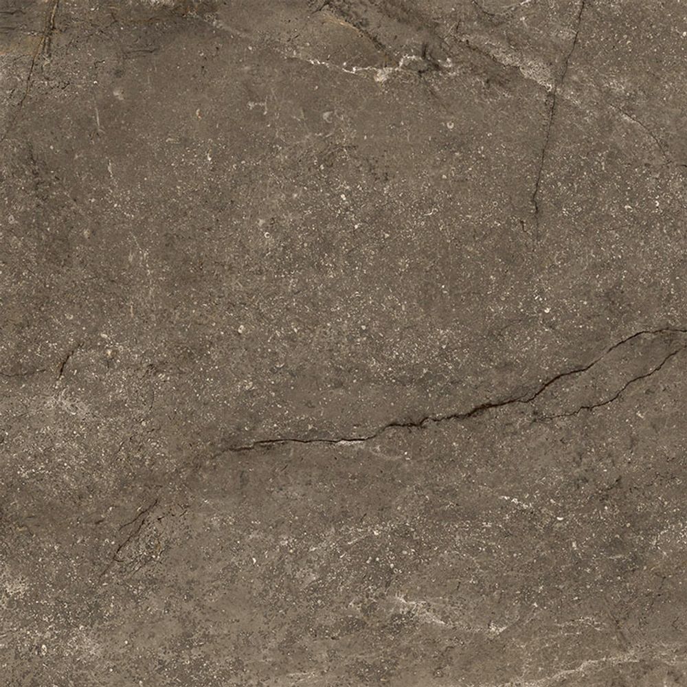 Limestone mocha pol. rect. 120x120