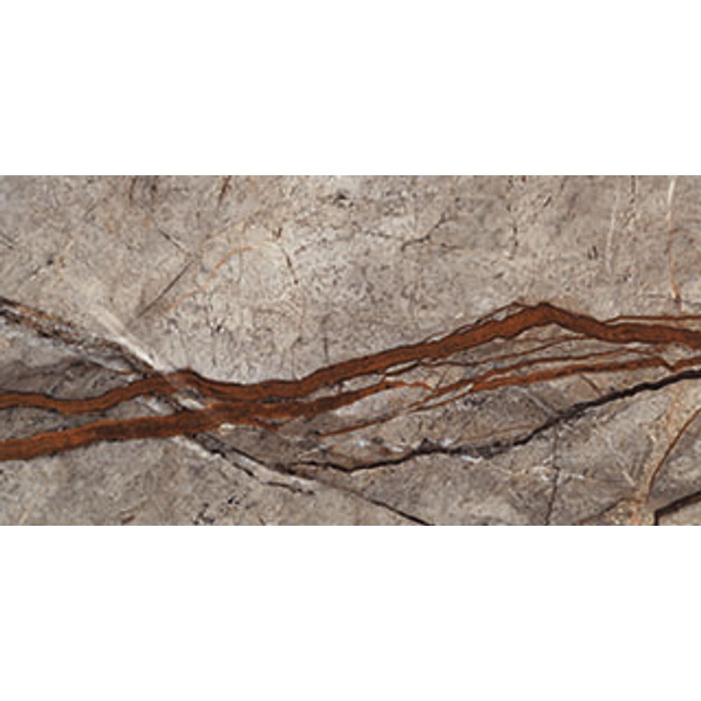 Silver roots 3d matt rect 59,2x118,6