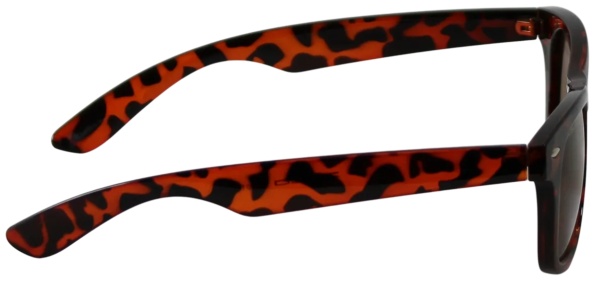 Solglasögon SR