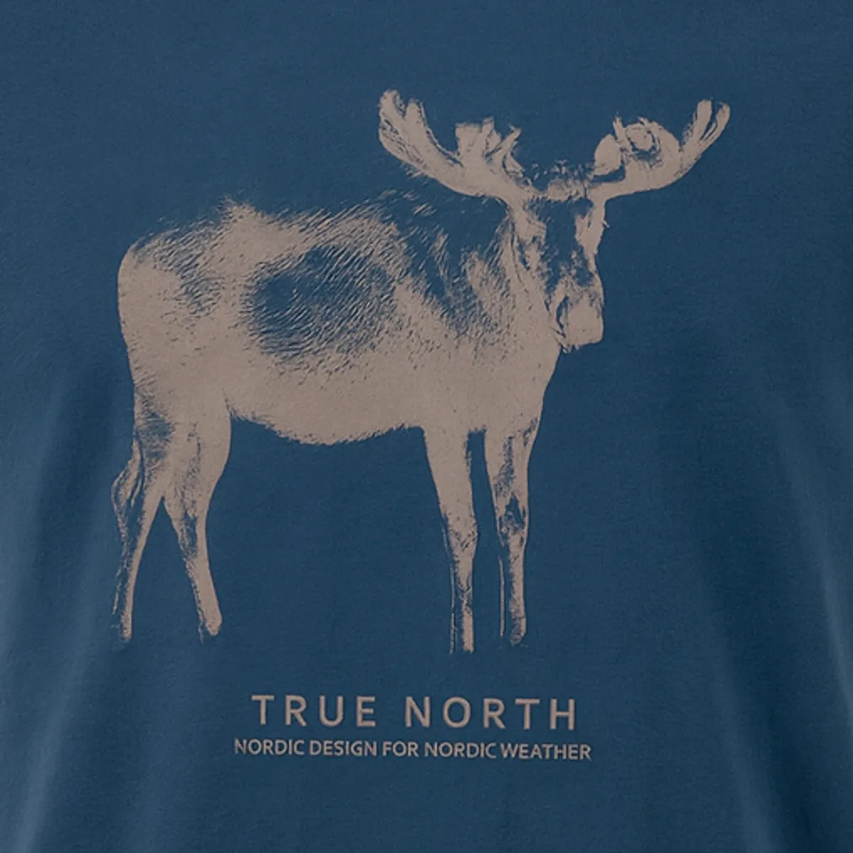 T-Shirt print